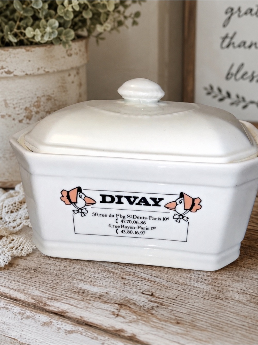 Rare vintage APILCO DIVAY Foie Gras terrine container porcelain goose design